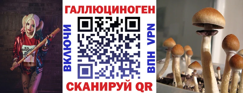 Псилоцибиновые грибы ЛСД  Купить закладки  Емва 